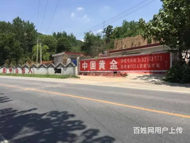 驻马店墙体广告,枸杞户外墙体广告,横行乡里 - 图片 2