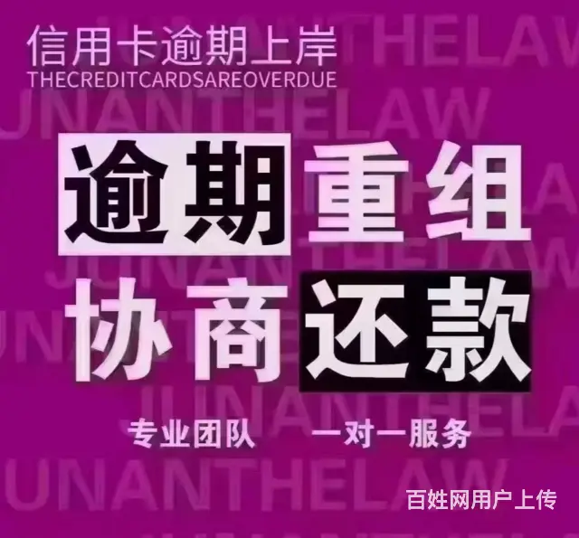 淮南**分期债务规划 - 图片 3