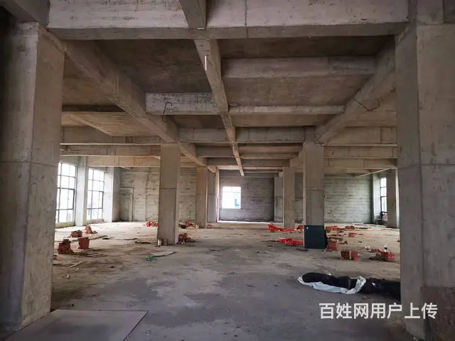 （51旺铺推荐）乐东佛罗整栋3840平出租（房东直租） - 图片 8