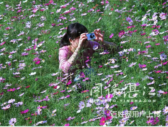 蓉蓉田舍亲子活动 公司聚会休闲垂钓-自助烧烤好去处 - 图片 2