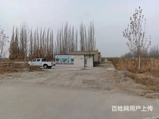 B个人一库尔楚土地对外出售 - 图片 7