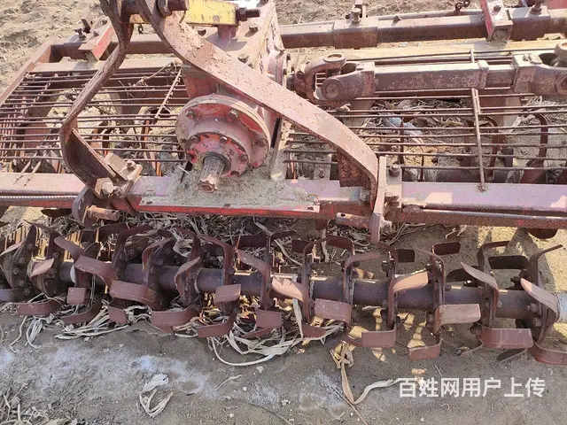 连云港三垄双旋 - 图片 2