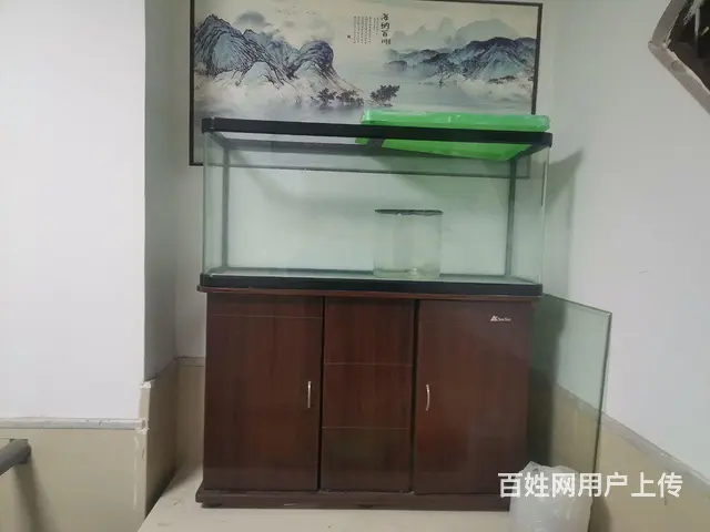 闲置鱼缸 - 图片 3