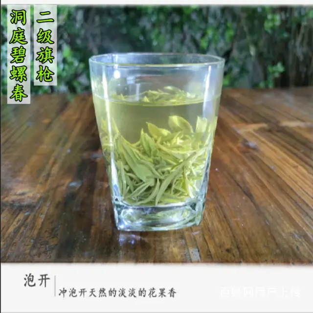 一芽一叶 . 苏州东山碧螺春茶叶正宗洞庭碧螺春绿茶 - 图片 3