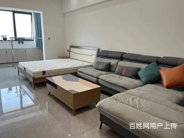 新天地 公寓1厅 精装修 - 图片 1