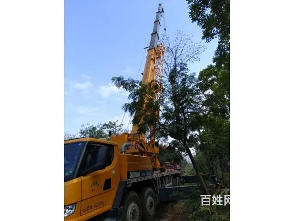湛江遂溪县小叉车租赁-口碑好的 - 图片 1