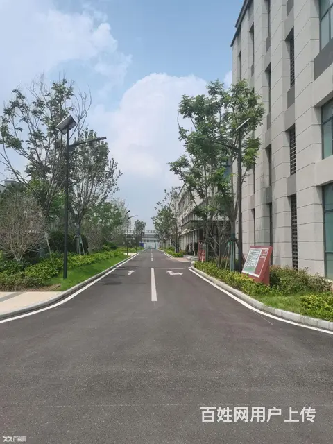 红旗区花园式办公厂房，7.2层高，可环评 - 图片 3