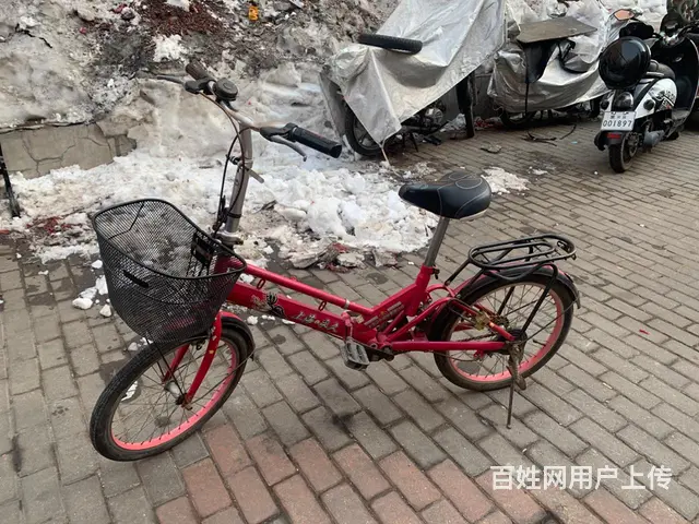 骑不了急卖 - 图片 1