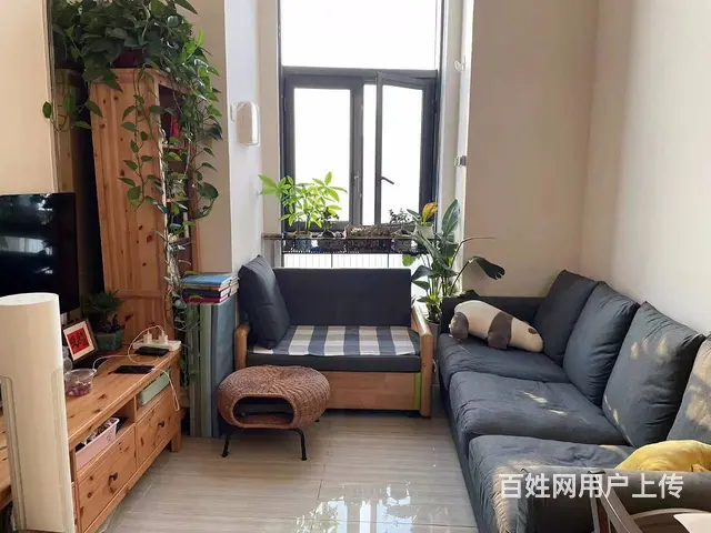 恒大翡翠华庭 公寓 精装修 loft34.5万 精装修 - 图片 5