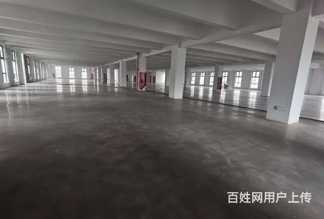尚湖练塘全新独栋4层，每层1550平，可分租，配套设施齐全。 - 图片 8