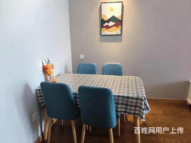 龙渡广场精品房出租 - 图片 1