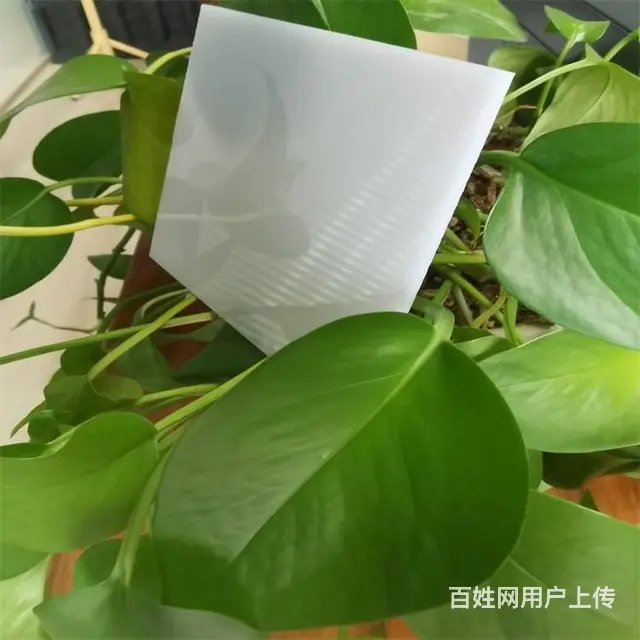 青岛李沧浅灰耐力板李沧雨棚耐力板 - 图片 8