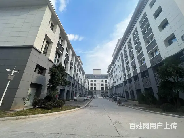 自有全新园区招租 单层独栋 多面积段 业态不限 欢迎咨询看房 - 图片 9