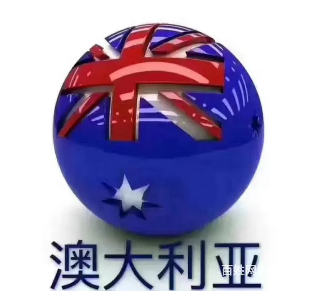 澳大利亚/加拿大/新西兰/（工签）保签不成功不收费 - 图片 3