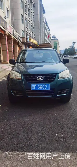 其他 皮卡 - 图片 1