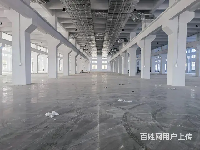 礼嘉新建一层厂房《真实有效》原子大 - 图片 3