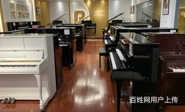 珠江·里特米勒RSH、RS、RSY哪个型号好？性价 - 图片 1