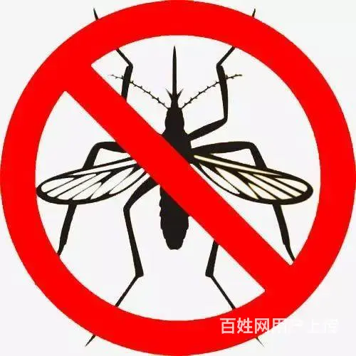 广州杀蚊子公司，彻底除蚊子、上门灭蚊蝇服务 - 图片 6