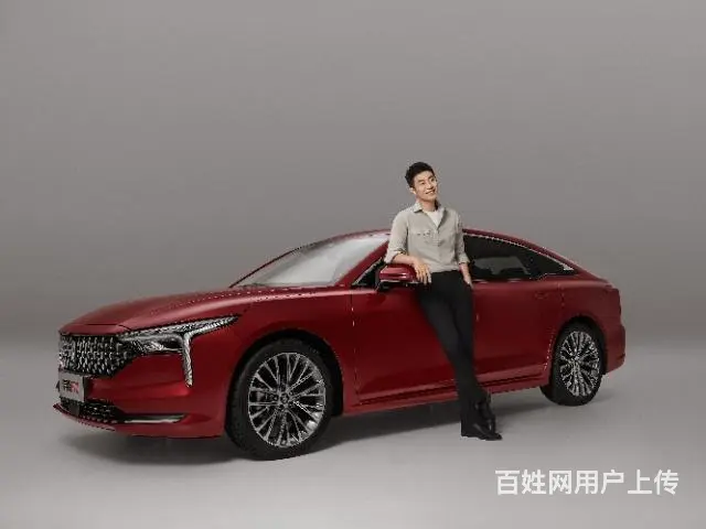凉山蓉海一汽奔腾团购会 - 图片 6