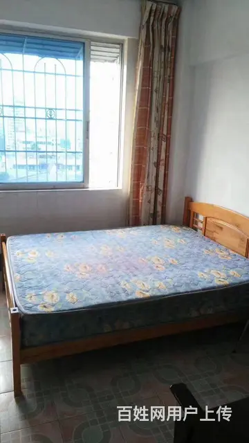 惠民南路，电梯高层1房1厅1卫1阳台家私电器齐全直接拎包入住 - 图片 3