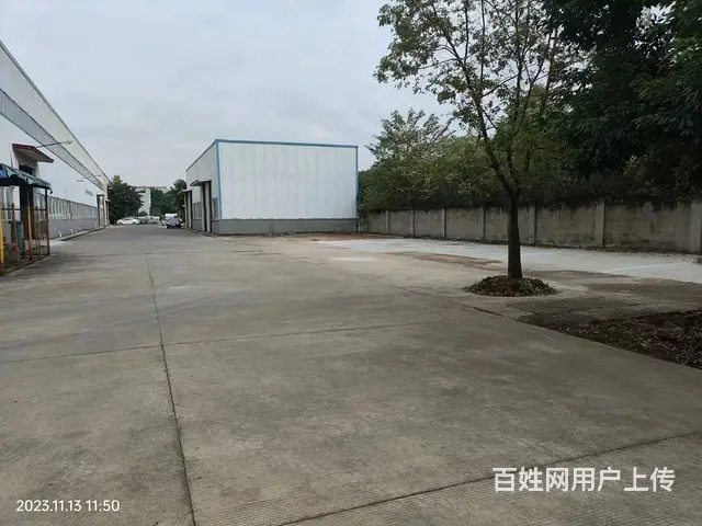 出租新津工业园5千平米厂房.库房 可分租 - 图片 3