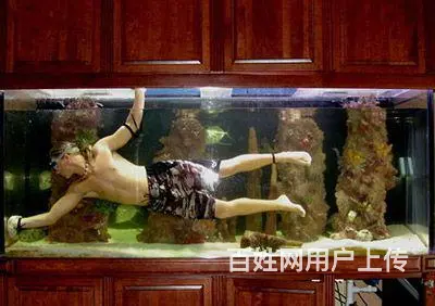 专业鱼缸维修 清洗 消毒 造景 治疗各种鱼病 - 图片 1