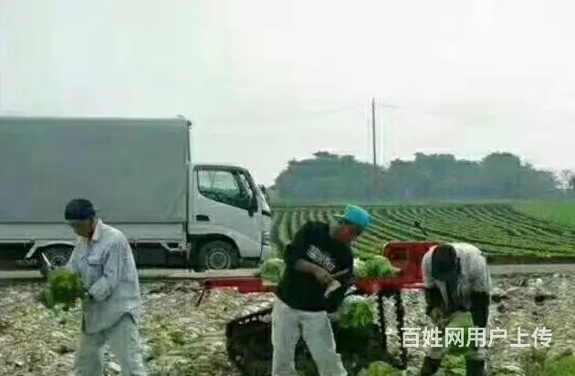 办理出国劳务工作签证申请申请 欢迎咨询 - 图片 6