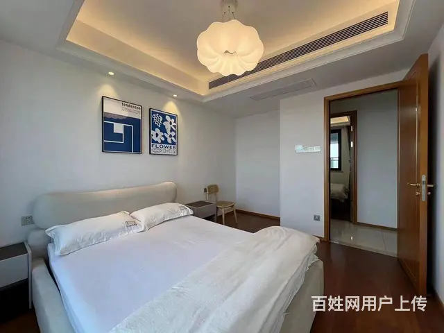 出门武汉站 东湖旁 近杨春湖实验学校 欢乐天际 徐 - 图片 5
