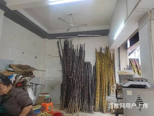 （51旺铺推荐）滨廉村商业街30平水果店转让 - 图片 6
