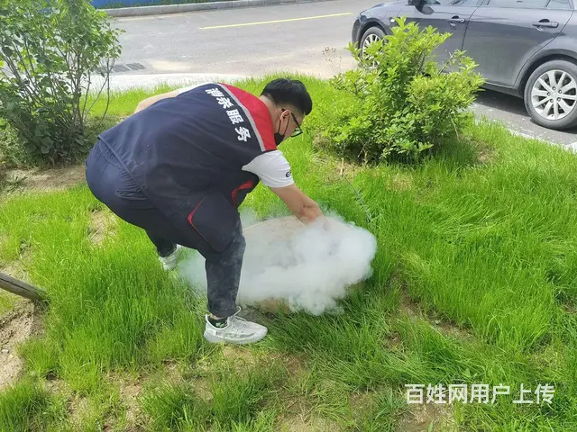 专业消杀消毒公司、灭鼠、灭蟑螂、灭蚊蝇！ - 图片 3