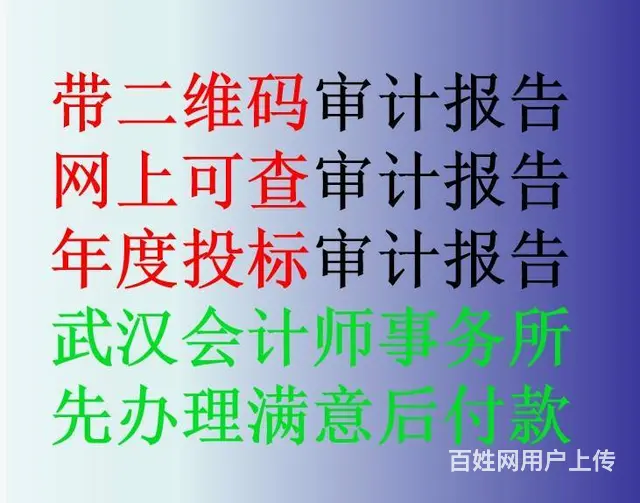 四表一注投标审计报告，500起先办理后付款 - 图片 5