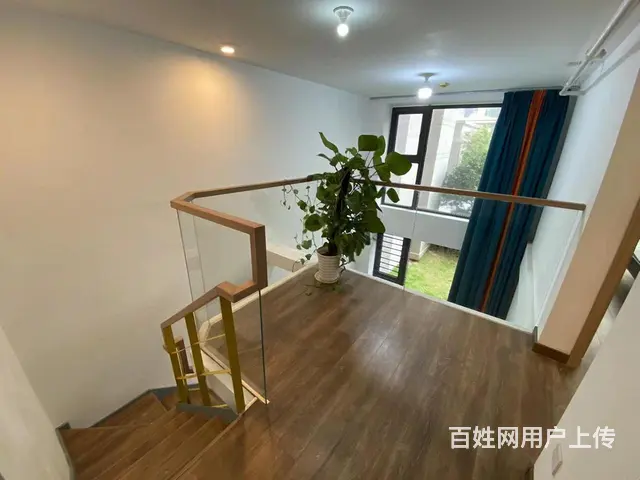 低价笋价出租 南北53.00平 - 图片 2