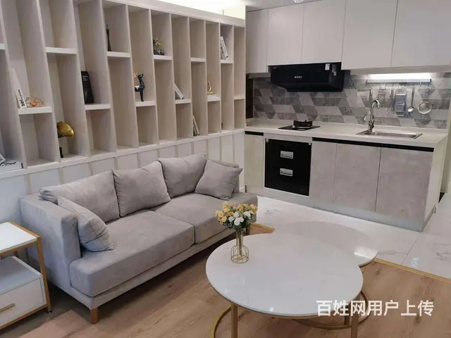 政务新区现房首付10万复式公寓苏滁汽车生活广场通燃气双层设计 - 图片 6