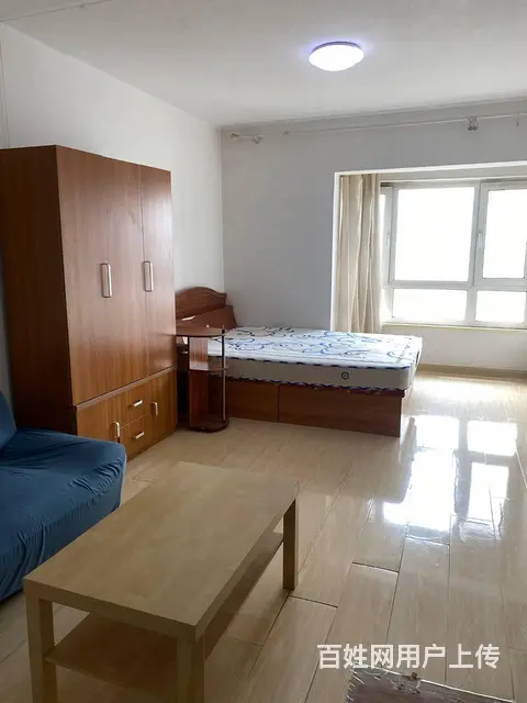 地铁房爱丽香舍(铁西) 普通住宅1厅 中等装修 - 图片 6