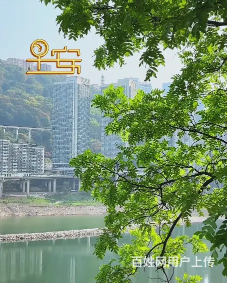 大本营的早餐分享来了哟！ - 图片