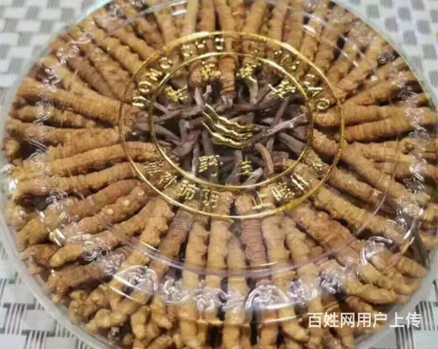 常熟回收虫草正规收购虫草等滋补品 - 图片 3