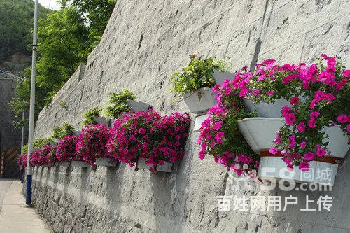 仿真植物墙室内外绿植墙沈阳绿雕雕塑园林景观仿真草坪 - 图片 10