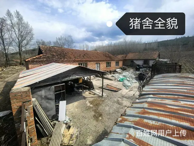 猪舍/养猪场/养殖场/出售 - 图片 2