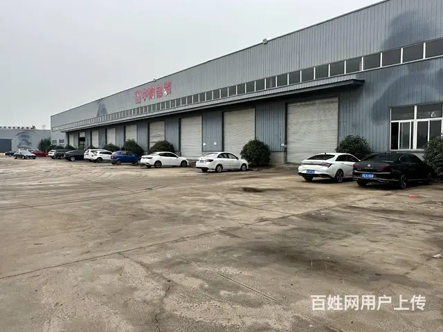 （徐州找店网）新沂高流高标准厂房出租 - 图片 2