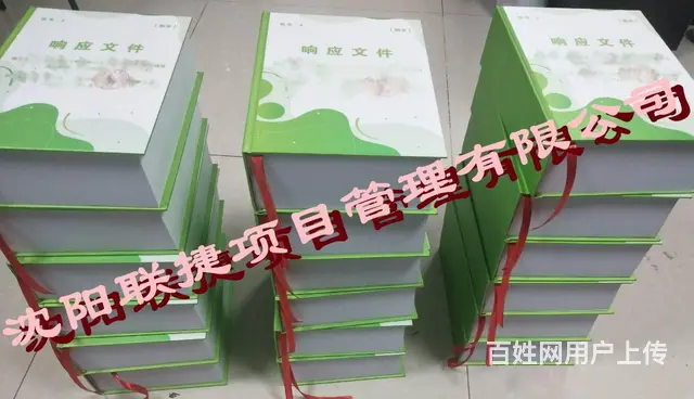 沈阳标书代理，丰富的标书制作经验，专注于各类标书制 - 图片 2