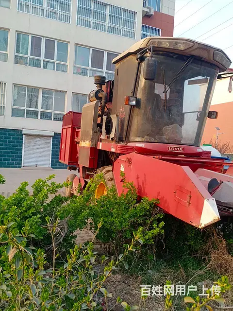 玉米收割机转让 - 图片 1