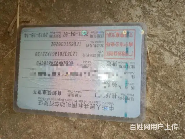 钦机 - 图片 8