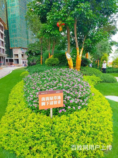 梧州江景园林花园小区 首付5万起！3房两厅两卫 - 图片 4