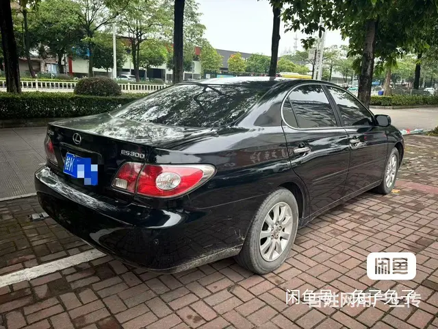 雷克萨斯GS 2005款 GS300 3.0 手自一体 豪华 - 图片 2