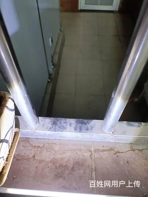 商丘猫丢了怎么办 专业寻猫寻狗，宠物救援实地寻找 - 图片 1