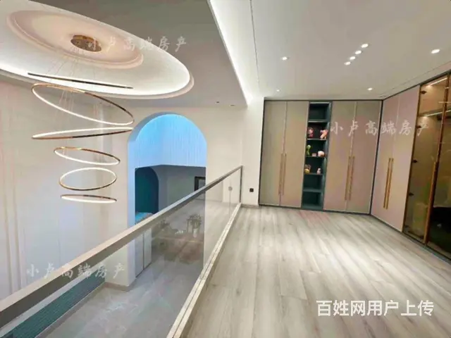 外滩首 府下叠 一带二挑空客厅 现代轻奢 带花园双车位 - 图片 5