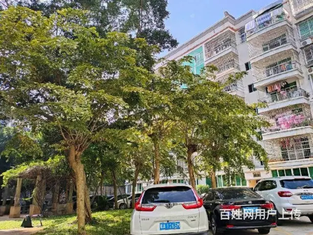 出售南沙路  明珠星苑3房电梯房 - 图片 12