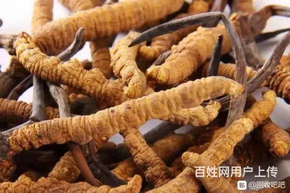 吕梁回收冬虫夏草 价格一览一览表高价回收虫草 - 图片 1