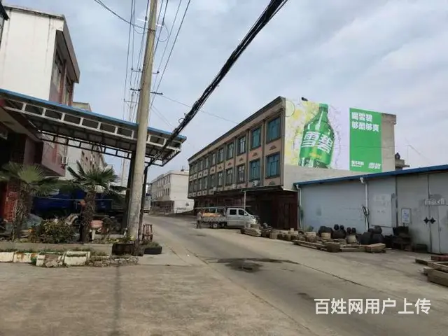 阳江墙体广告万元级预算覆盖百万级人口 - 图片 2