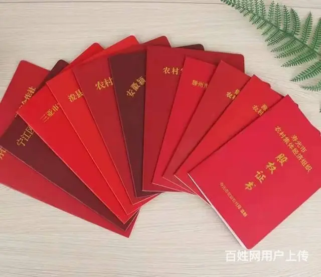 专业  会员证 学生证   各种证件证书专业定 - 图片 1